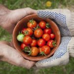 探讨密码安全性:为什么'123456'绝对不可用? 5tq55