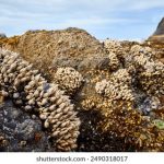 日本动漫电影:探索奇幻世界与深刻情感的完美结合 sv08z